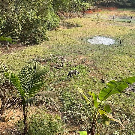 Hostelexp, Gokarna - A Slow-Paced Backpackers Community Exterior foto